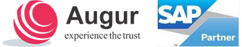 Augur IT Consulting